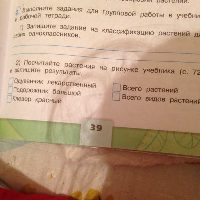 Задание на классификацию для одноклассников