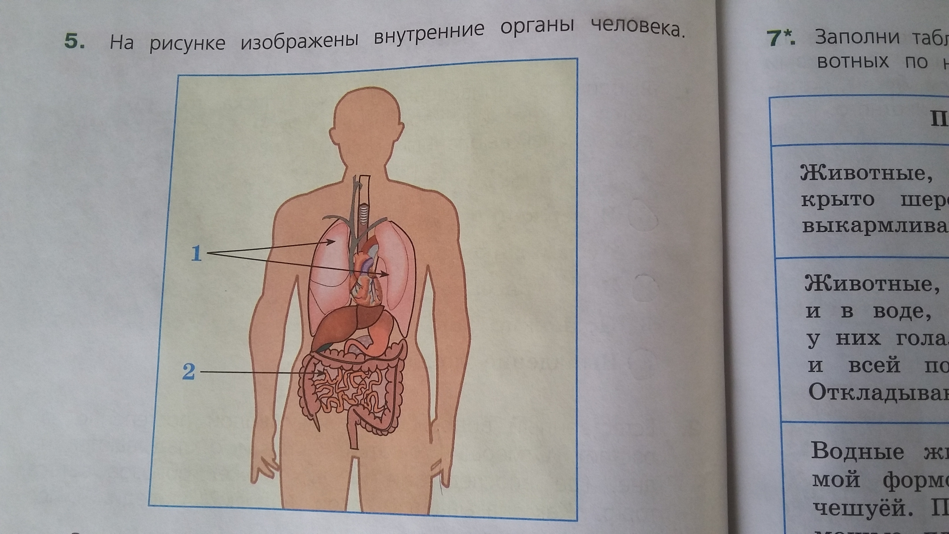 На рисунке изображена система