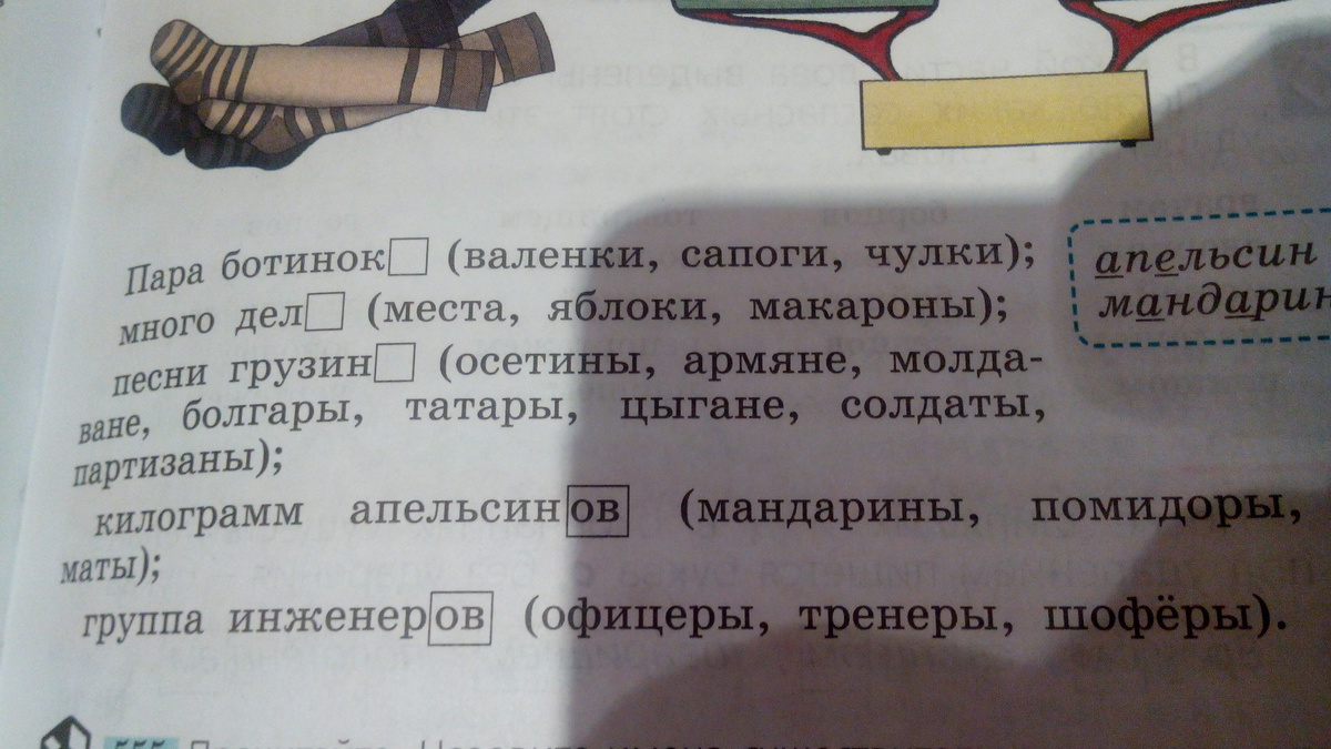 К данным словам подберите слова с беглыми гласными образец носок носков устное объяснение буква