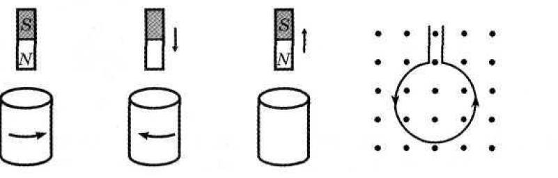 На рисунке показаны различные ситуации в которых наблюдается явление электромагнитной индукции