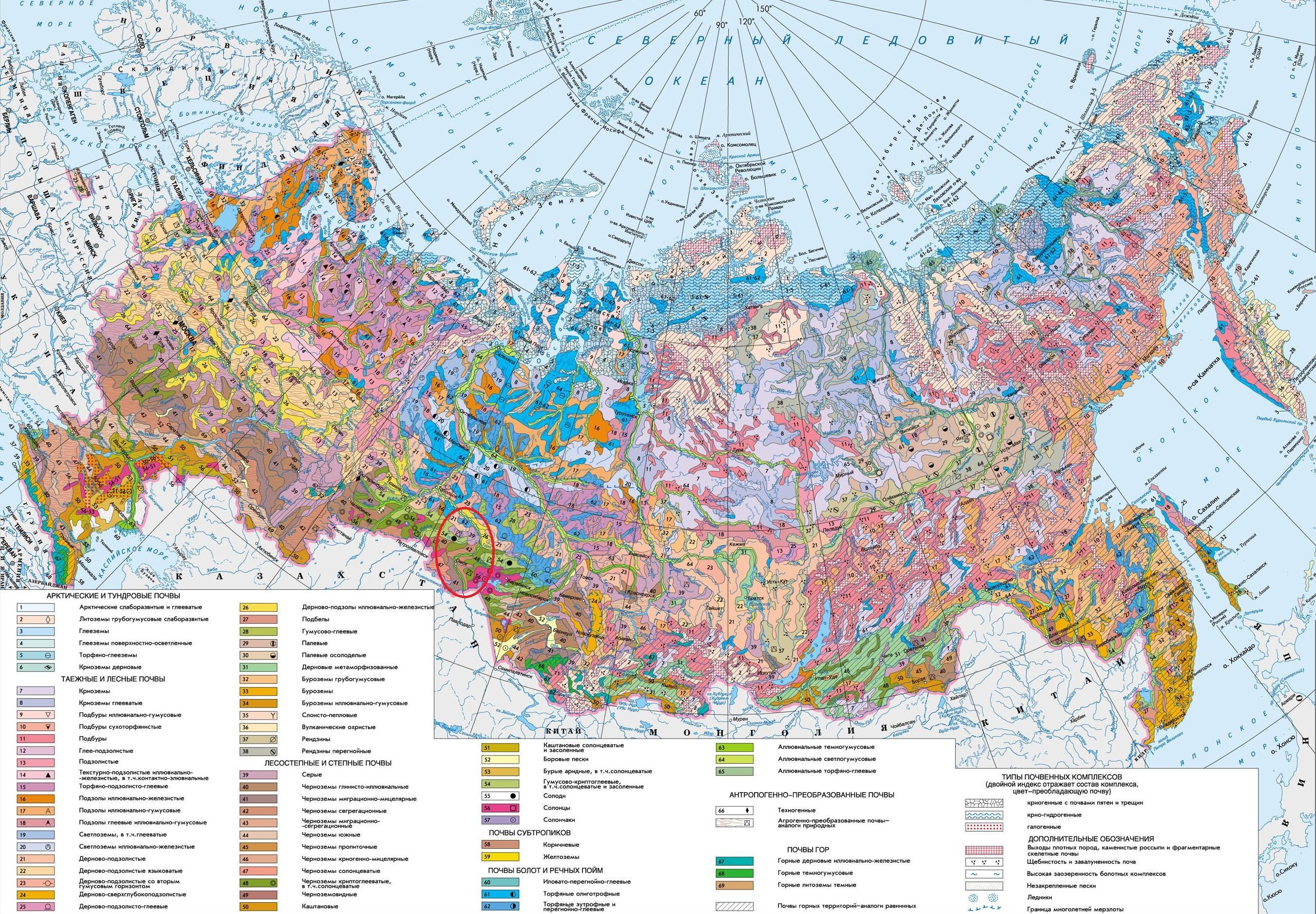 Карта типов почв россии