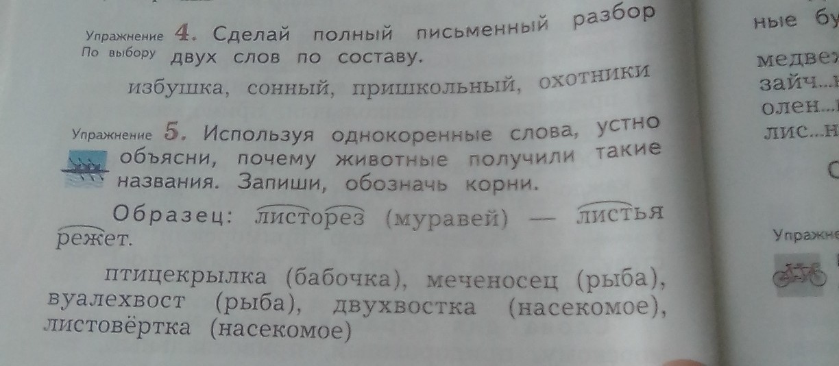 Разбор слова избушка. Слово избушка по составу. Полный письменный разбор избушка. Что такое полный письменный разбор слова.